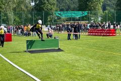 IMG_3497