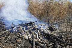IMG-20250412-WA0005