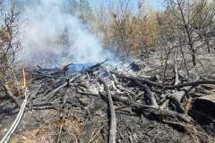 IMG-20250412-WA0006