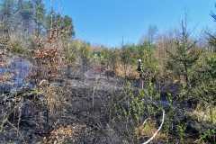 IMG-20250412-WA0007