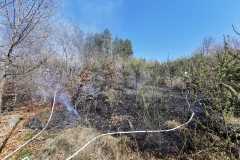 IMG-20250412-WA0008