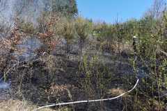 IMG-20250412-WA0009