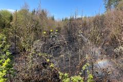 IMG-20250412-WA0014