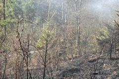 IMG-20250412-WA0018