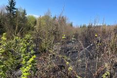 IMG-20250412-WA0021