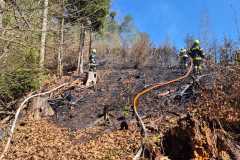 IMG-20250413-WA0001