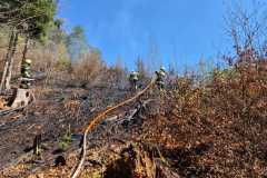 IMG-20250413-WA0002
