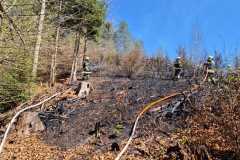 IMG-20250413-WA0003