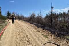 IMG-20250413-WA0005