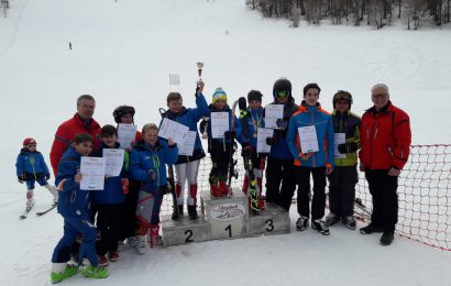 Bezirksfeuerwehrskirennen 2019