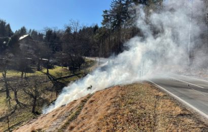 Böschungsbrand in Eis