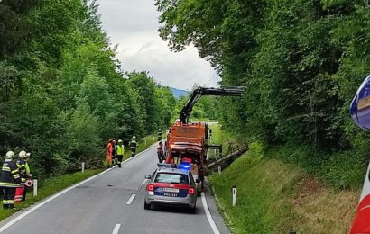 Baum auf Straße B80