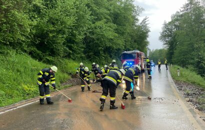 Straßenverschmutzung  B80 Wundersätten