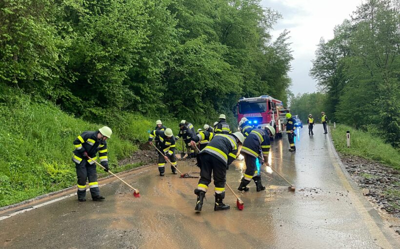Straßenverschmutzung  B80 Wundersätten