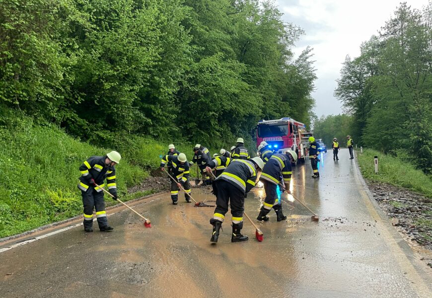 Straßenverschmutzung  B80 Wundersätten
